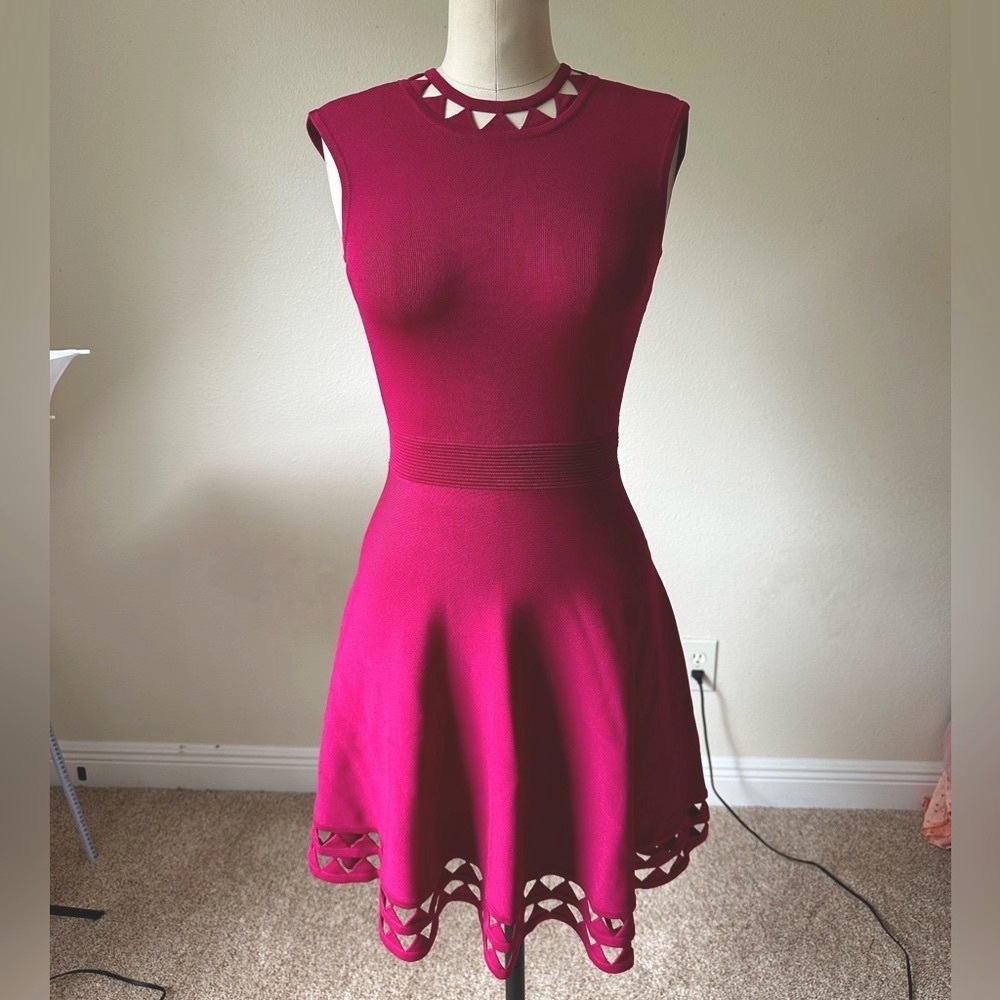 Ted Baker Dress